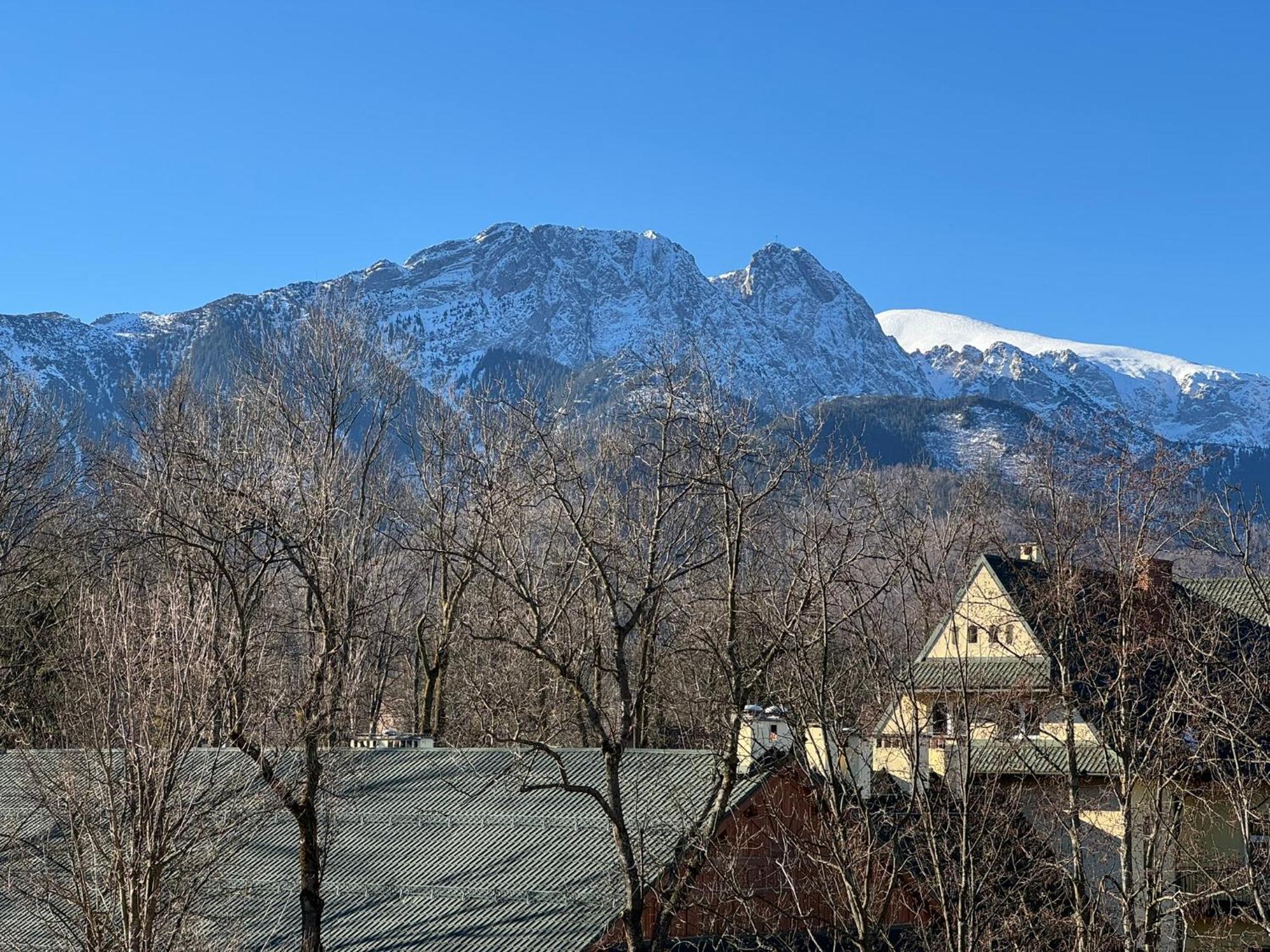 Bed and Breakfast Dafne Закопане Екстер'єр фото